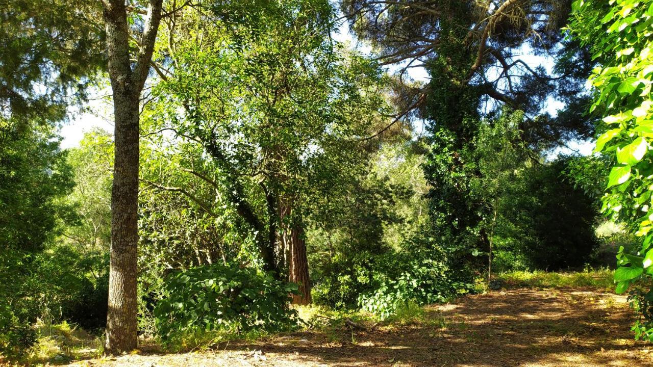 Casal Dos Zimbros Villa Corticos Kültér fotó